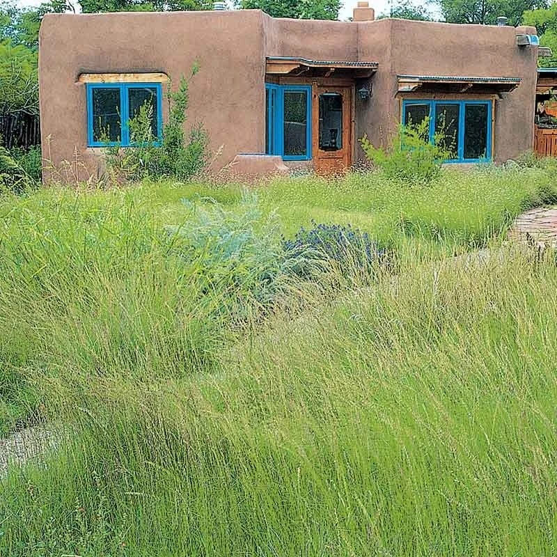 High Mountain Grass Seed Mix 2 High Mountain Grass Seed Mix - Image 2